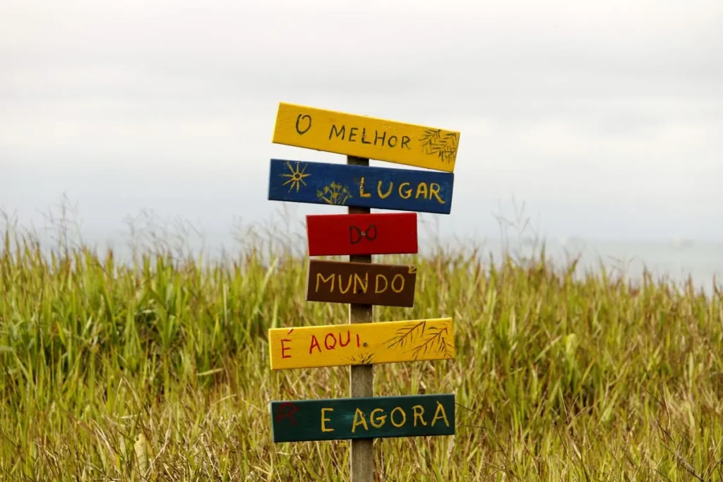Sobre o ciclo pdca o que é correto afirmar?