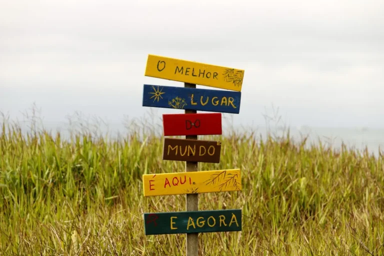 Sobre o ciclo pdca o que é correto afirmar?